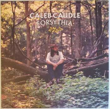 LP Caleb Caudle: Forsythia CLR