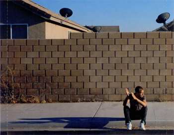 CD Calvin Harris: 18 Months