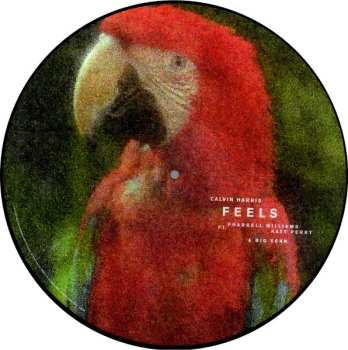 LP Pharrell Williams: Feels PIC