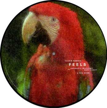 LP Pharrell Williams: Feels PIC