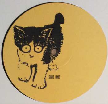 LP Candidate: Taking On The Enemy's Sound LTD