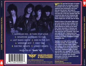 CD Candy: Whatever Happened To Fun LTD