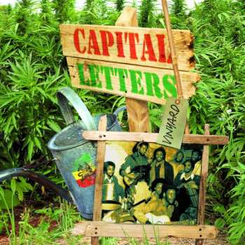 CD Capital Letters: Vinyard