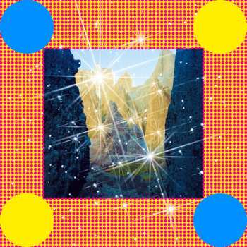 CD Caribou: Honey