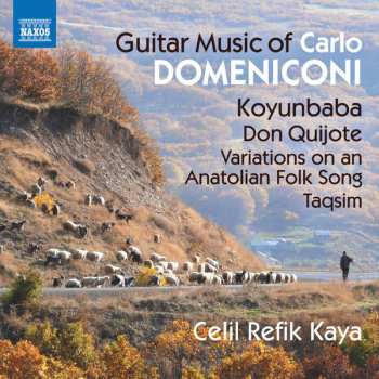 CD Carlo Domeniconi: Guitar Music Of Carlo Domeniconi