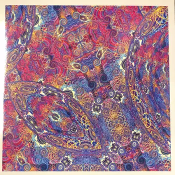 Placenta