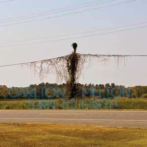 CD Carlton Melton: Turn To Earth