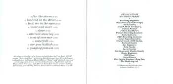 CD Carly Simon: Playing Possum