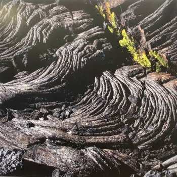 CD Caroline Shaw: Let The Soil Play Its Simple Part