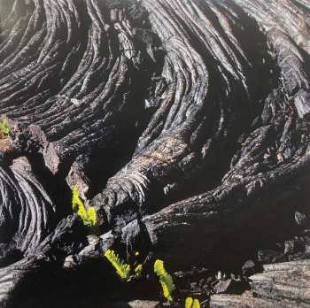 CD Caroline Shaw: Let The Soil Play Its Simple Part
