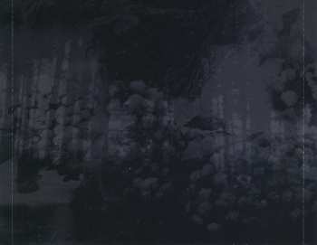 3CD/Dobozkészlet Carpathian Forest: The Fucking Evil Years