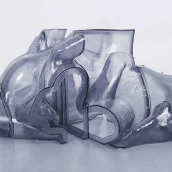 Album Carrier: Rhythm Immortal