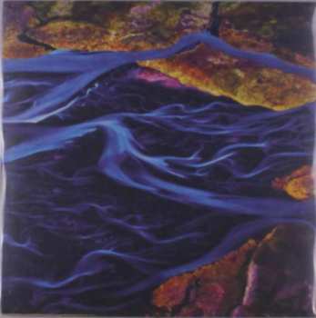 Album Carson: Drown the Witness