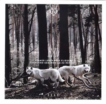 CD Casper: XOXO
