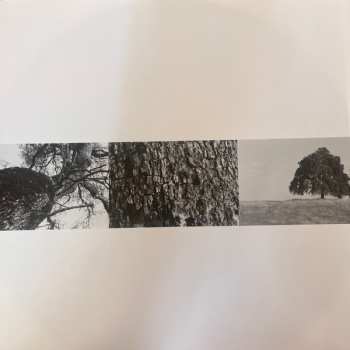 2LP Cass McCombs: Interior Live Oak