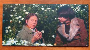 LP Cat Stevens: Harold And Maude: Original Motion Picture Soundtrack LTD