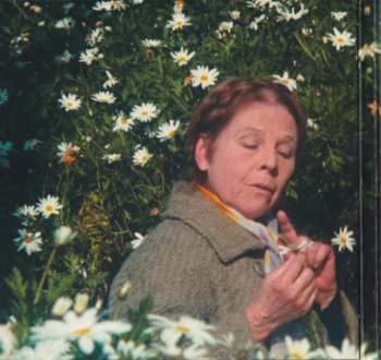 CD Cat Stevens: Harold And Maude (Original Motion Picture Soundtrack) LTD