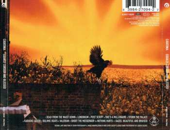 CD Catatonia: Equally Cursed And Blessed