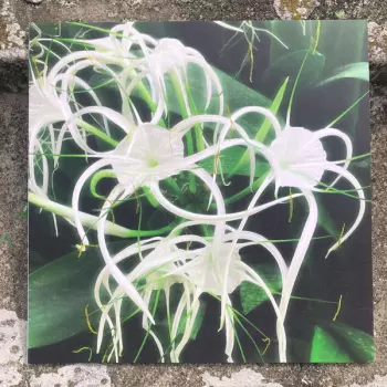 Céilí: Back Once Again EP