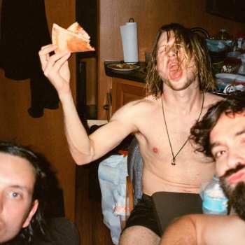 Album Dinosaur Pile-Up: Celebrity Mansions