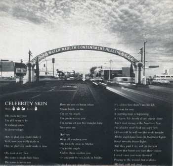 CD Hole: Celebrity Skin
