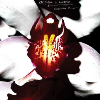 Album David Lynch: Cellophane Memories