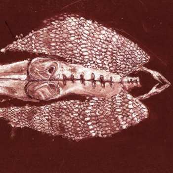 2LP Cerberus Shoal: Homb LTD | CLR