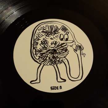 LP Chad VanGaalen: Shrink Dust