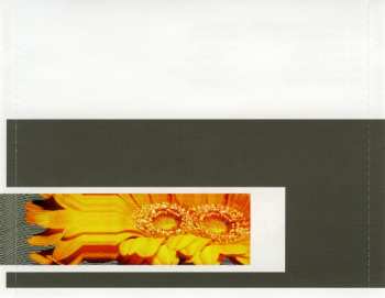 CD Channels: Waiting For The Next End Of The World