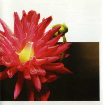 CD Channels: Waiting For The Next End Of The World