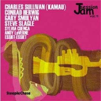 Album Steve Slagle: Jam Session Vol. 11