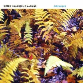 Album Dieter Ilg: Eisenhans