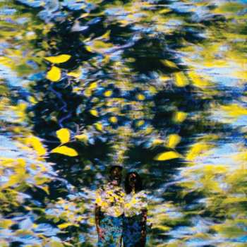 CD Chaton Laveur: Labyrinthe