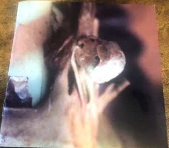 2CD/Dobozkészlet Ches Smith: Path Of Seven Colors