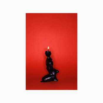 Album Chicaloyoh: Les Septs Salons