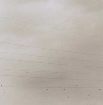 CD Chihei Hatakeyama: Maybe