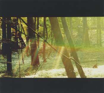CD Childish Gambino: Camp