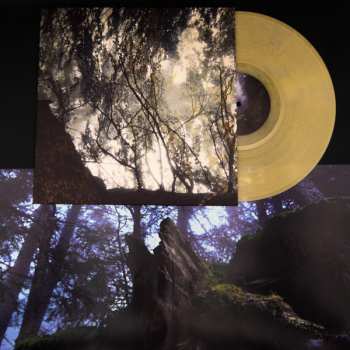 LP Chiral: Gazing Light Eternity LTD