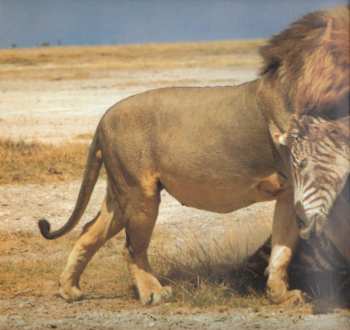 2LP Chris Bowden: Time Capsule