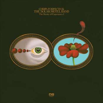 Album Chris Forsyth & The Solar Motel Band: The Rarity Of Experience