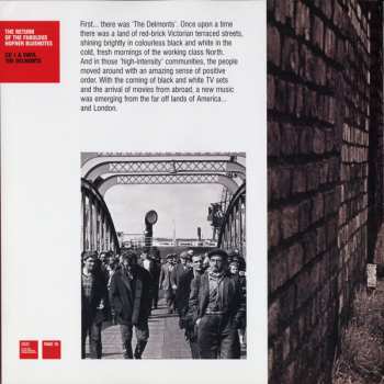 2LP/3CD/Dobozkészlet Chris Rea: The Return Of The Fabulous Hofner Bluenotes DLX