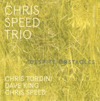 CD Chris Speed Trio: Despite Obstacles