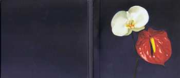 CD/DVD Christine And The Queens: Chaleur Humaine