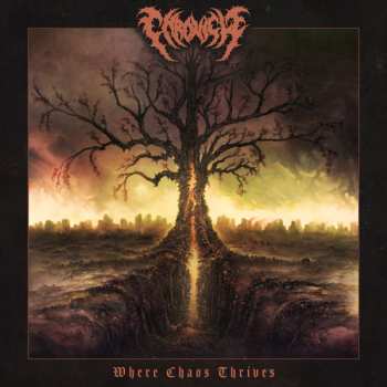 Album Chronicle: Where Chaos Thrives