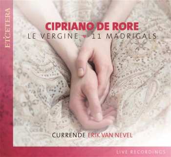 Album Currende: Le Vergine - 11 Madrigals
