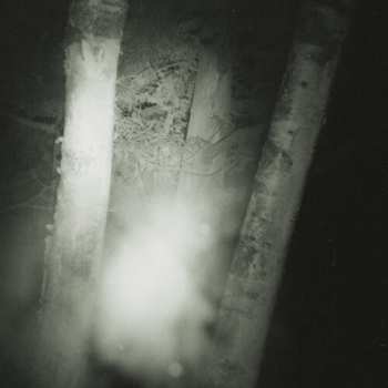 LP Circle Of Salt: Suffer The Cold