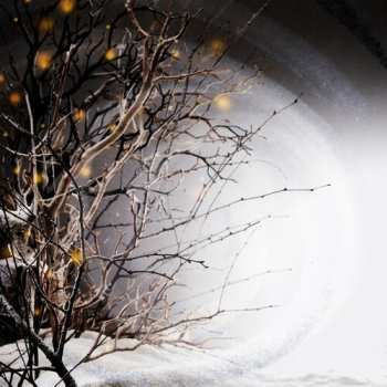 Album Clearlake: Winterlight + Jumble Sailing