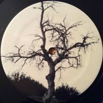 LP Cloud Nothings: Last Building Burning