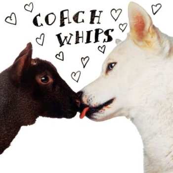 CD Coachwhips: Bangers Vs. Fuckers