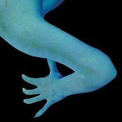 CD Coconuts: Coconuts